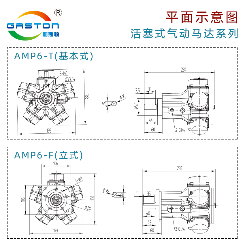 AMP6-F_14.jpg